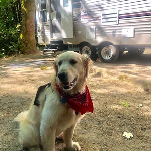 Meet your Posher, Ann